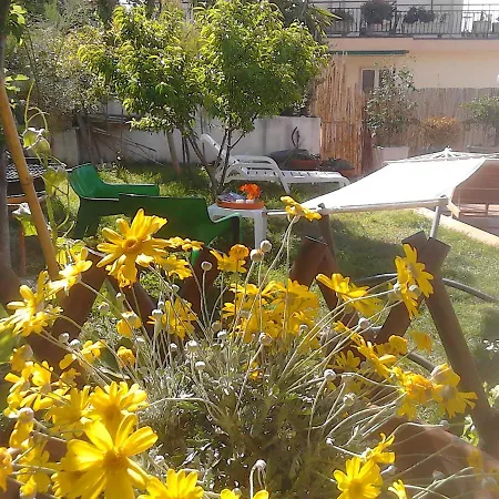 Bed & Breakfast Bruna 3*