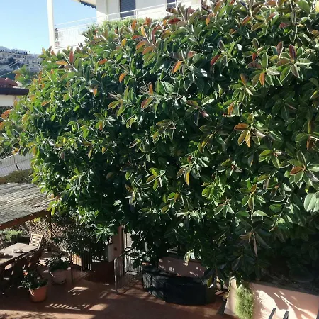 Bed & Breakfast Bruna