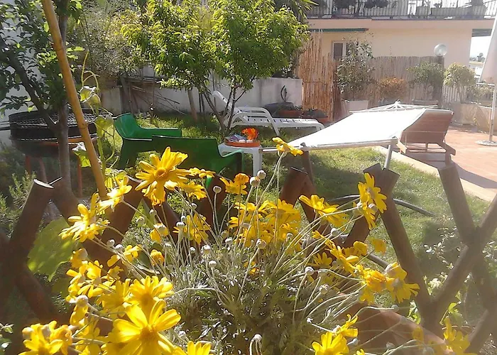 Bed & Breakfast Bruna 3*